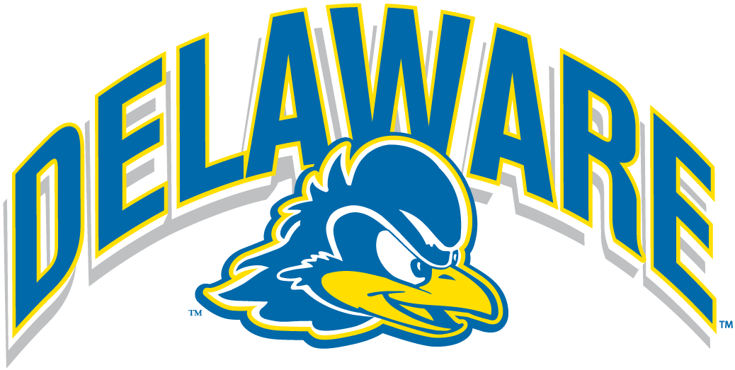 Delaware Blue Hen 2009-2018 Alternate Logo diy iron on heat transfer
